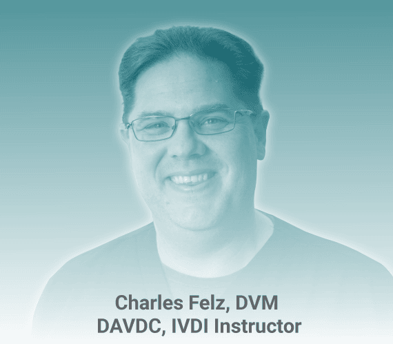 The picture of Dr. Charles Felz, DVM, DAVDC, IVDI Instructor